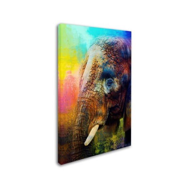 Jai Johnson 'Colorful Expressions Elephant' Canvas Art,16x24